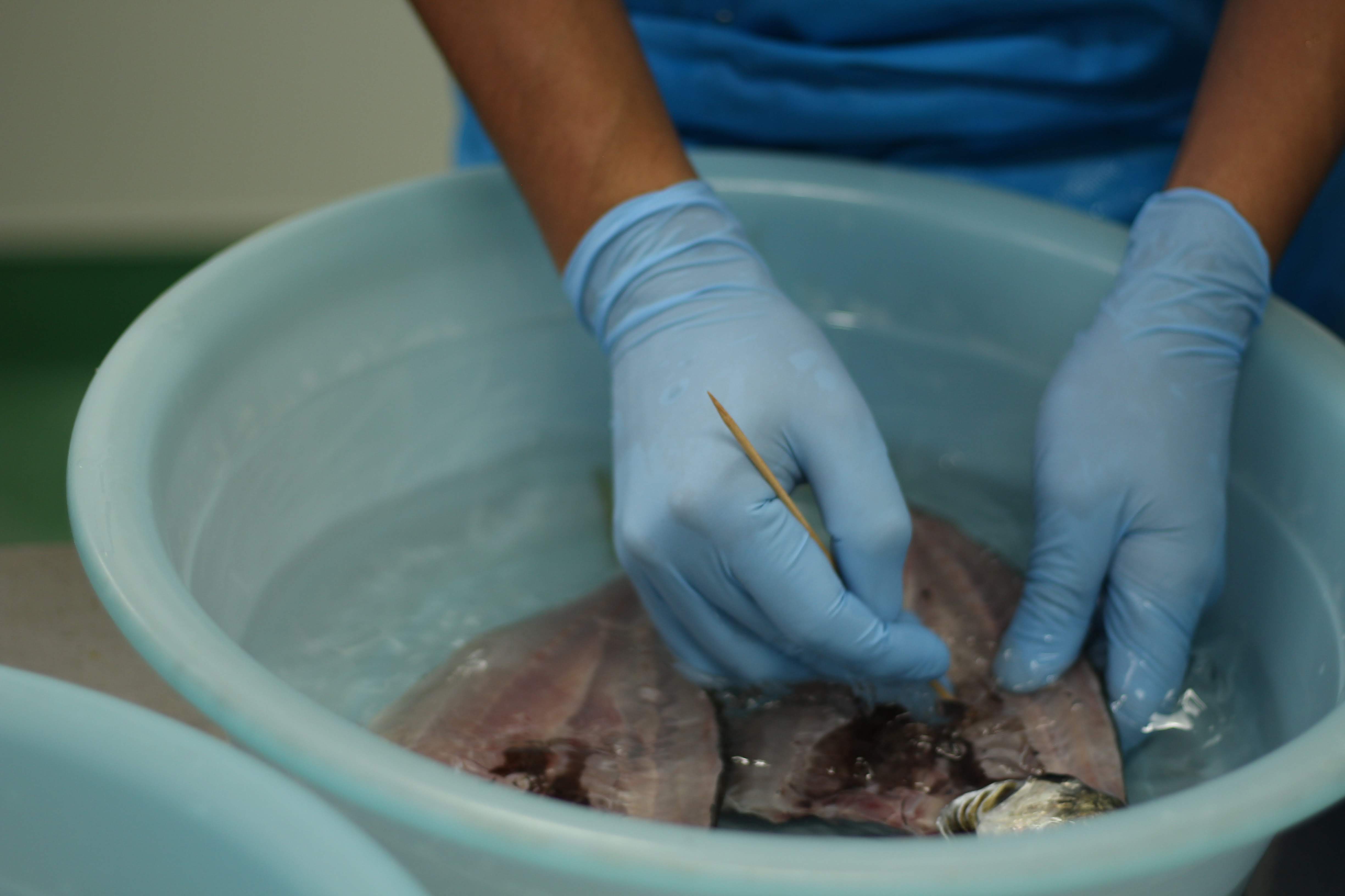 創業５０年の魚屋が厳選した「季節の一夜干しセット」（６～７種）